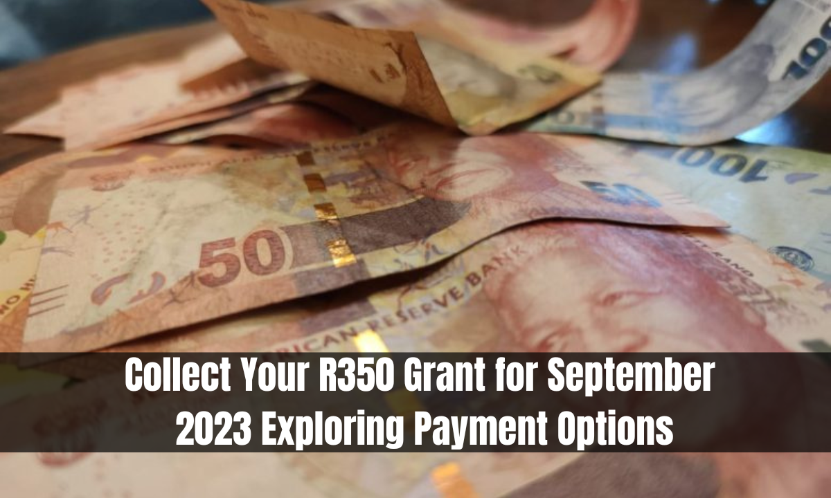 Collect Your R350 Grant for September 2023 Exploring Payment Options
